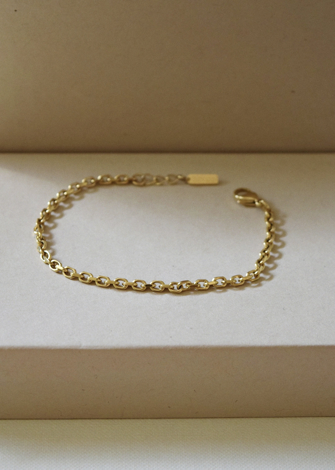 Minimal gold anchor chain bracelet by DIVON – 3mm 18K gold-plated, displayed on a soft neutral background