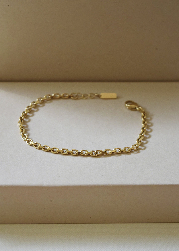 Minimal gold anchor chain bracelet by DIVON – 3mm 18K gold-plated, displayed on a soft neutral background